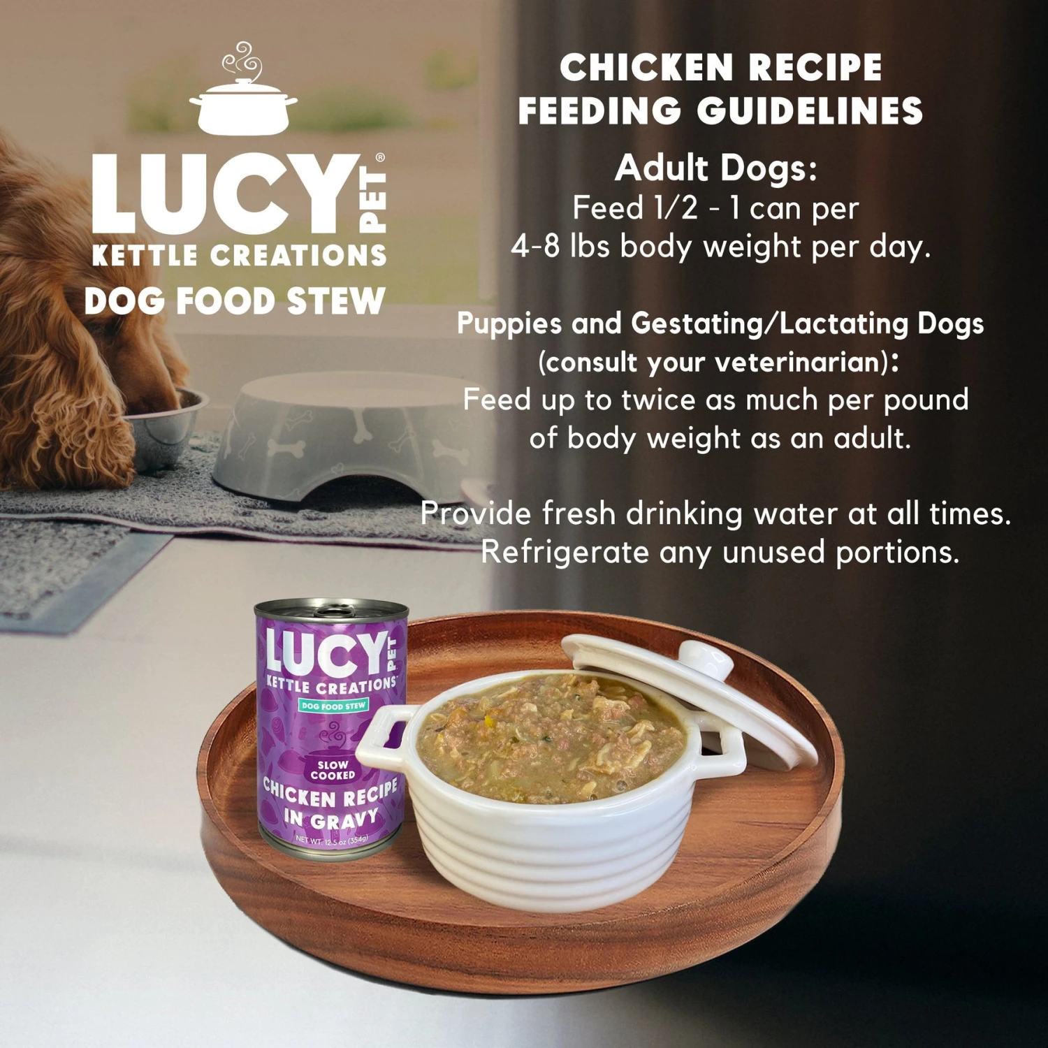Lucy Pet Products Kettle Creations Chicken Recipe In Gravy Wet Dog Food, 12.5-oz Can, Case Of 12 8 Lucy Pet Products Kettle Creations Chicken Recipe In Gravy Wet Dog Food, 12.5-oz Can, Case Of 12 - Image 6