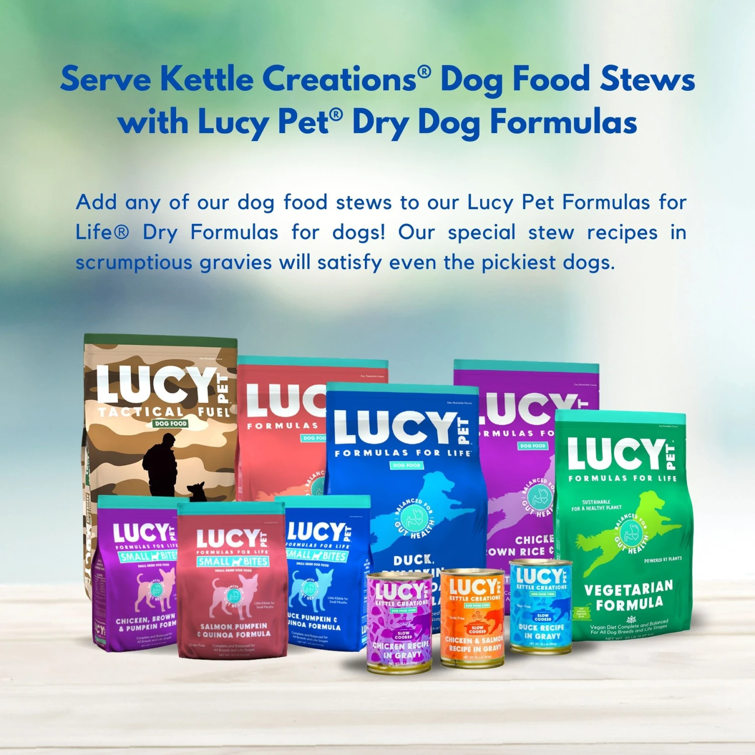Lucy Pet Products Kettle Creations Chicken Recipe In Gravy Wet Dog Food, 12.5-oz Can, Case Of 12 9 Lucy Pet Products Kettle Creations Chicken Recipe In Gravy Wet Dog Food, 12.5-oz Can, Case Of 12 - Image 7