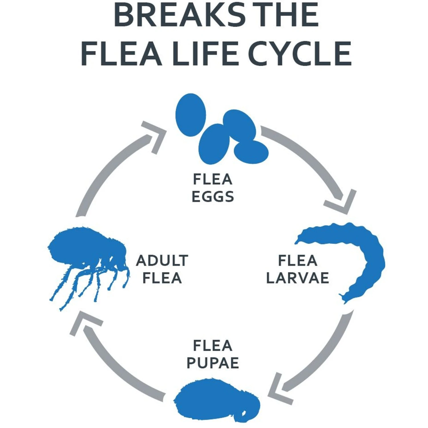 Sentry Fiproguard Plus Squeeze-On Dog Flea & Tick Treatment, 23 - 44 Lbs 6 Sentry Fiproguard Plus Squeeze-On Dog Flea & Tick Treatment, 23 - 44 Lbs - Image 4
