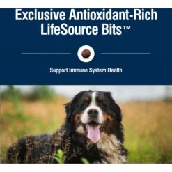 Blue Buffalo True Solutions Livin' Large Large Breed Formula Adult Dry Dog Food 16 Blue Buffalo True Solutions Livin' Large Large Breed Formula Adult Dry Dog Food -Snuggle Paws 264574 PT6. AC SS1800 V1696449326