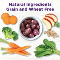 Wellness CORE Bowl Boosters Joint Health Adult Dry Dog Food Topper, 4-oz Bag -Snuggle Paws 264865 PT4. AC SS1800 V1703709502