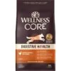 Wellness CORE Digestive Health Wholesome Grains Chicken & Brown Rice Recipe Dry Dog Food -Snuggle Paws 264874 MAIN. AC SS1800 V1608661969