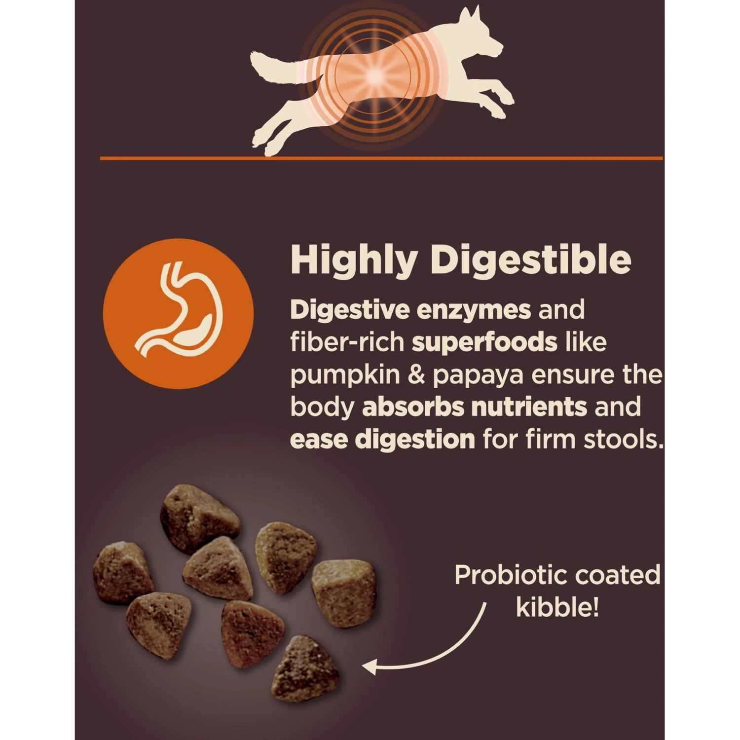 Wellness CORE Digestive Health Wholesome Grains Chicken & Brown Rice Recipe Dry Dog Food 6 Wellness CORE Digestive Health Wholesome Grains Chicken & Brown Rice Recipe Dry Dog Food - Image 4