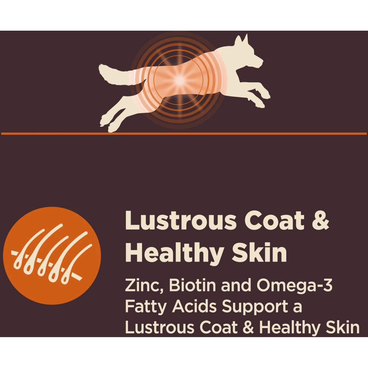 Wellness CORE Digestive Health Wholesome Grains Chicken & Brown Rice Recipe Dry Dog Food 8 Wellness CORE Digestive Health Wholesome Grains Chicken & Brown Rice Recipe Dry Dog Food - Image 6