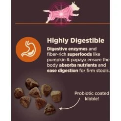 Wellness CORE Digestive Health Wholesome Grains Chicken & Brown Rice Recipe Small Breed Dry Dog Food -Snuggle Paws 264876 PT3. AC SS1800 V1608678767