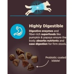 Wellness CORE Digestive Health Wholesome Grains Whitefish & Brown Rice Recipe Dry Dog Food 14 Wellness CORE Digestive Health Wholesome Grains Whitefish & Brown Rice Recipe Dry Dog Food -Snuggle Paws 264880 PT3. AC SS1800 V1608677558