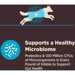 Wellness CORE Digestive Health Wholesome Grains Whitefish & Brown Rice Recipe Dry Dog Food 15 Wellness CORE Digestive Health Wholesome Grains Whitefish & Brown Rice Recipe Dry Dog Food -Snuggle Paws 264880 PT4. AC SS1800 V1608692599