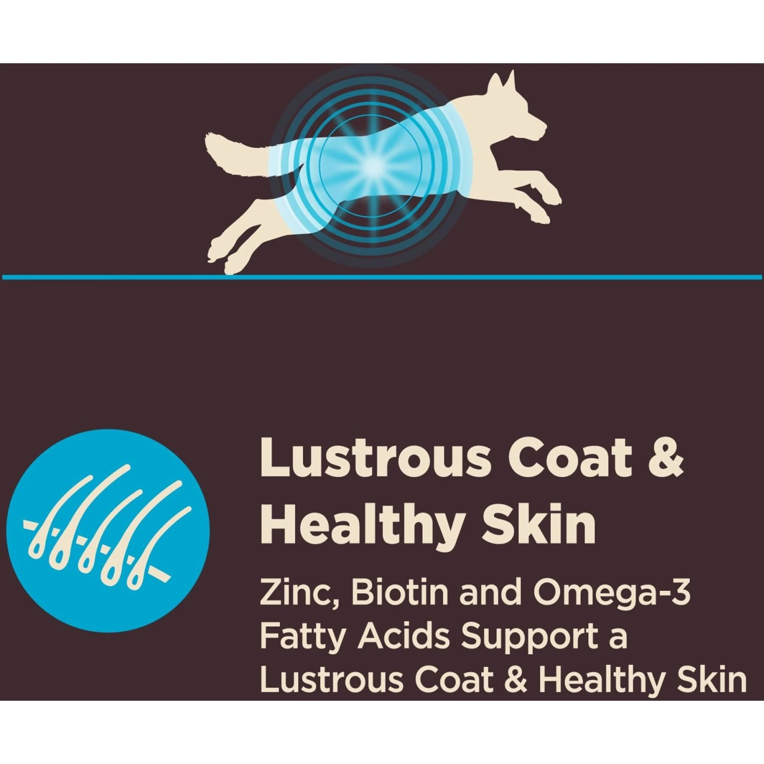 Wellness CORE Digestive Health Wholesome Grains Whitefish & Brown Rice Recipe Dry Dog Food 8 Wellness CORE Digestive Health Wholesome Grains Whitefish & Brown Rice Recipe Dry Dog Food - Image 6