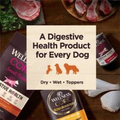 Wellness CORE Digestive Health Chicken Recipe Grain-Free Wet Dog Food 17 Wellness CORE Digestive Health Chicken Recipe Grain-Free Wet Dog Food -Snuggle Paws 264882 PT6. AC SS1800 V1623205049