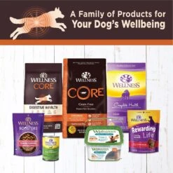 Wellness CORE Digestive Health Chicken & Beef Pate Variety Pack Grain-Free Wet Dog Food -Snuggle Paws 264888 PT4. AC SS1800 V1623201448