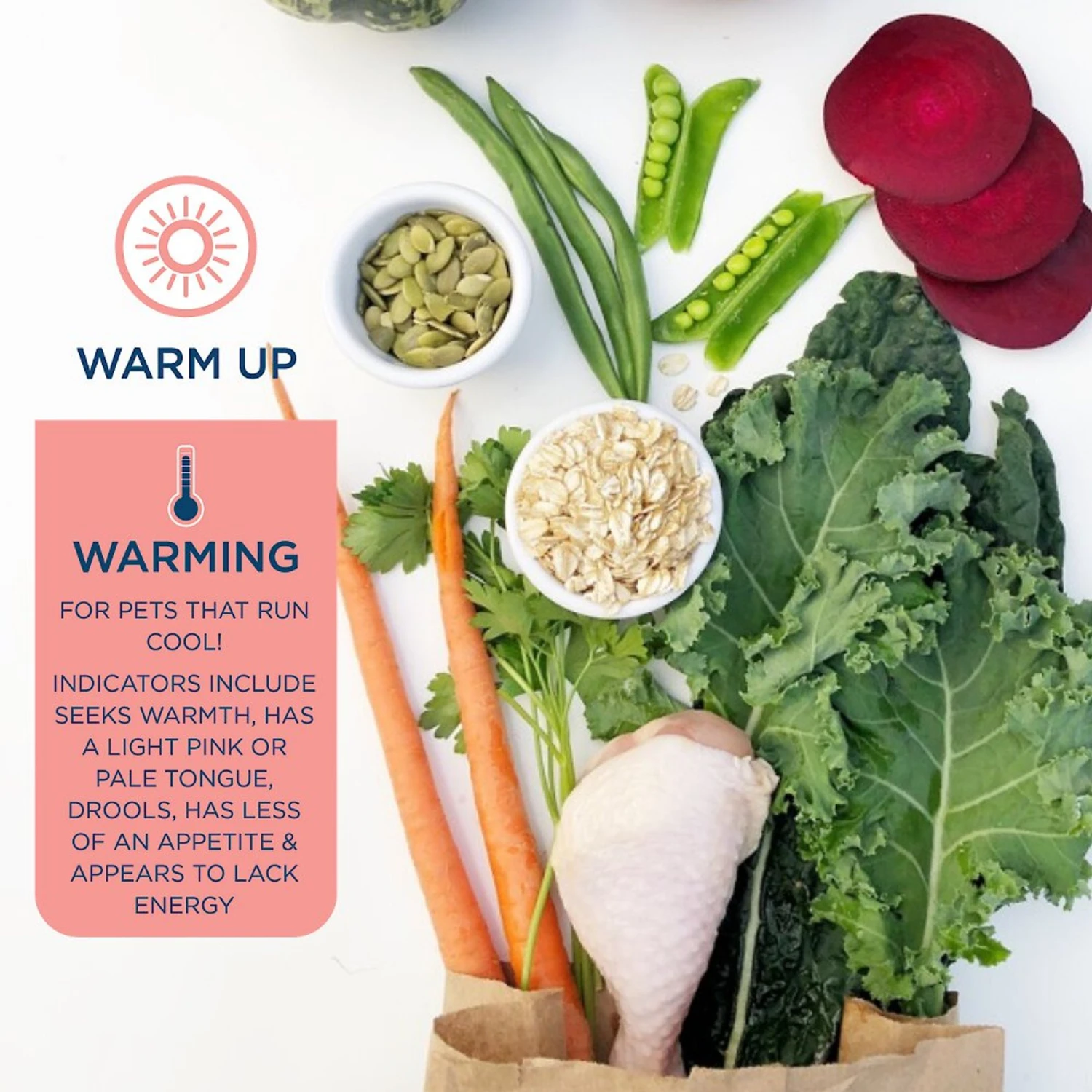 Side By Side Warming Complete & Balanced Chicken & Lamb Stew Wet Dog Food, 12.5-oz Box 6 Side By Side Warming Complete & Balanced Chicken & Lamb Stew Wet Dog Food, 12.5-oz Box - Image 4