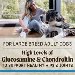 Merrick Healthy Grains Large Breed Recipe Dry Dog Food, 30-lb Bag -Snuggle Paws 265083 PT8. AC SS1800 V1620844202