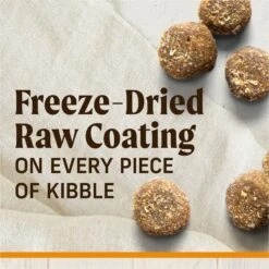 Merrick Healthy Grains Raw-Coated Kibble Real Chicken + Brown Rice Recipe Freeze-Dried Dry Dog Food -Snuggle Paws 265200 PT3. AC SS1800 V1673561287