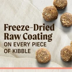 Merrick Healthy Grains Raw-Coated Kibble Real Salmon + Brown Rice Recipe Freeze-Dried Dry Dog Food -Snuggle Paws 265204 PT3. AC SS1800 V1673561272