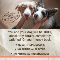 Merrick Healthy Grains Raw-Coated Kibble Real Salmon + Brown Rice Recipe Freeze-Dried Dry Dog Food -Snuggle Paws 265204 PT7. AC SS1800 V1673561270