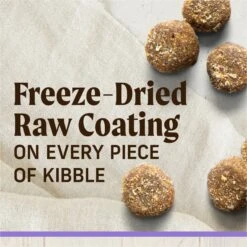 Merrick Healthy Grains Raw-Coated Kibble Puppy Recipe Freeze-Dried Dry Dog Food -Snuggle Paws 265208 PT3. AC SS1800 V1673561196