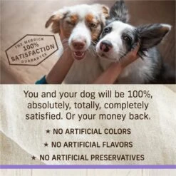 Merrick Healthy Grains Raw-Coated Kibble Puppy Recipe Freeze-Dried Dry Dog Food -Snuggle Paws 265208 PT7. AC SS1800 V1673561192