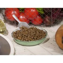 Dr. Gary's Best Breed Holistic Salmon With Vegetables & Herbs Dry Dog Food 9 Dr. Gary's Best Breed Holistic Salmon With Vegetables & Herbs Dry Dog Food -Snuggle Paws 265413 PT2. AC SS1800 V1609891057