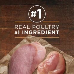 Purina ONE SmartBlend True Instinct Classic Ground Grain-Free Variety Pack Canned Dog Food -Snuggle Paws 265979 PT3. AC SS1800 V1671743187