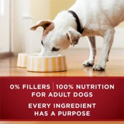Purina ONE SmartBlend True Instinct Classic Ground Grain-Free Variety Pack Canned Dog Food -Snuggle Paws 265979 PT7. AC SS1800 V1671743218