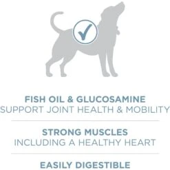 Purina ONE +Plus Adult Joint Health Formula Dry Dog Food -Snuggle Paws 266156 PT3. AC SS1800 V1674852379