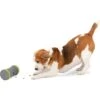 PetSafe Kibble Chase Roaming Treat Dropper Dog Toy -Snuggle Paws 266209 MAIN. AC SS1800 V1648624954
