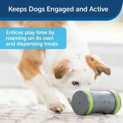 PetSafe Kibble Chase Roaming Treat Dropper Dog Toy -Snuggle Paws 266209 PT1. AC SS1800 V1648605083