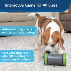 PetSafe Kibble Chase Roaming Treat Dropper Dog Toy -Snuggle Paws 266209 PT3. AC SS1800 V1648652214