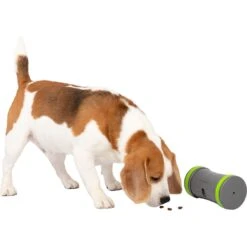 PetSafe Kibble Chase Roaming Treat Dropper Dog Toy -Snuggle Paws 266209 PT6. AC SS1800 V1648601197
