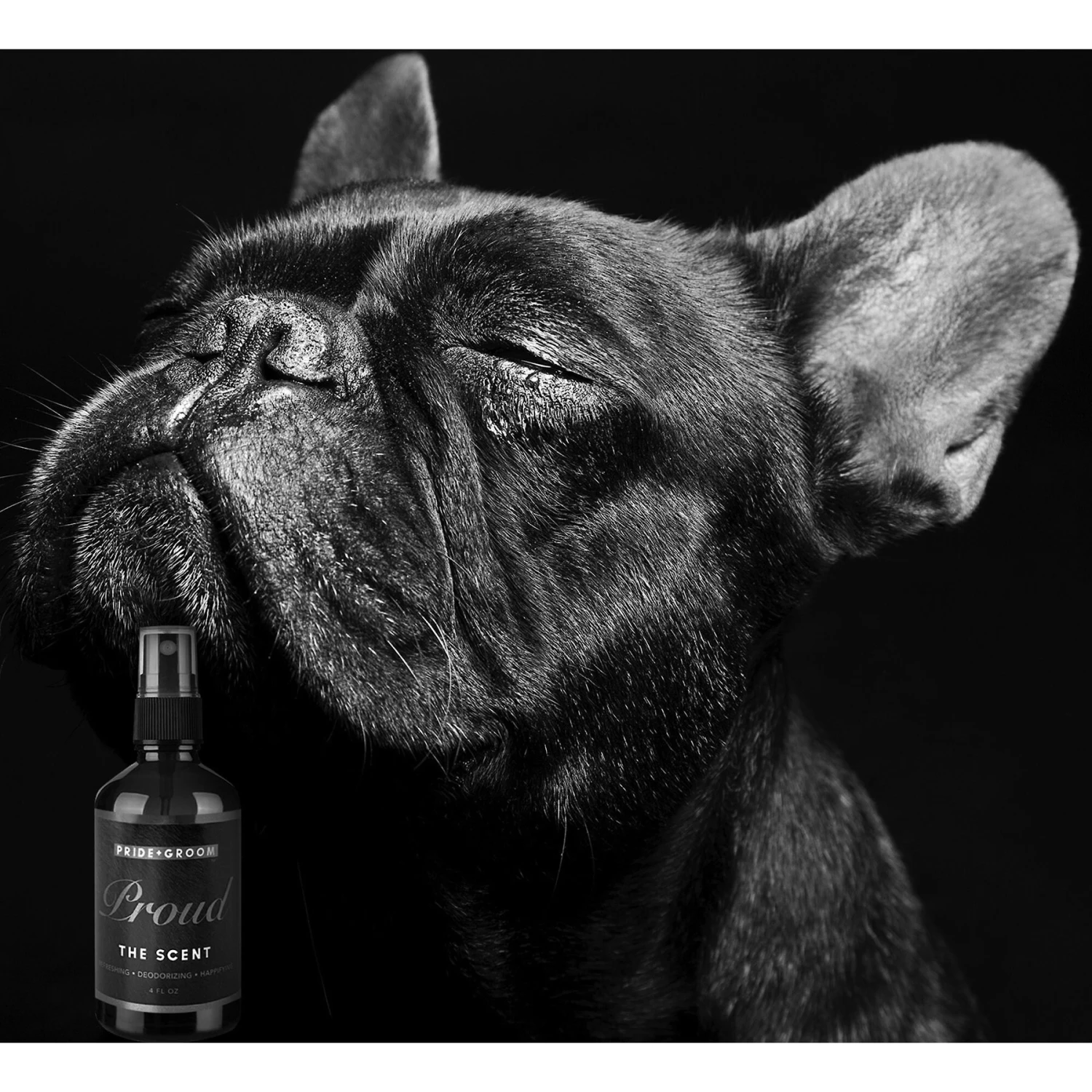 Pride+Groom The Proud Pet Freshener Dog Spray, 4-oz Bottle 5 Pride+Groom The Proud Pet Freshener Dog Spray, 4-oz Bottle - Image 3