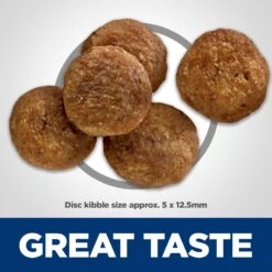 Hill's Science Diet Adult Perfect Digestion Salmon Dry Dog Food -Snuggle Paws 266825 PT3. AC SS1800 V1614208595