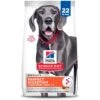 Hill's Science Diet Adult Perfect Digestion Large Breed Chicken Dry Dog Food -Snuggle Paws 266832 MAIN. AC SS1800 V1660574058