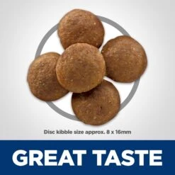 Hill's Science Diet Adult Perfect Digestion Large Breed Chicken Dry Dog Food 14 Hill's Science Diet Adult Perfect Digestion Large Breed Chicken Dry Dog Food -Snuggle Paws 266832 PT3. AC SS1800 V1614205600