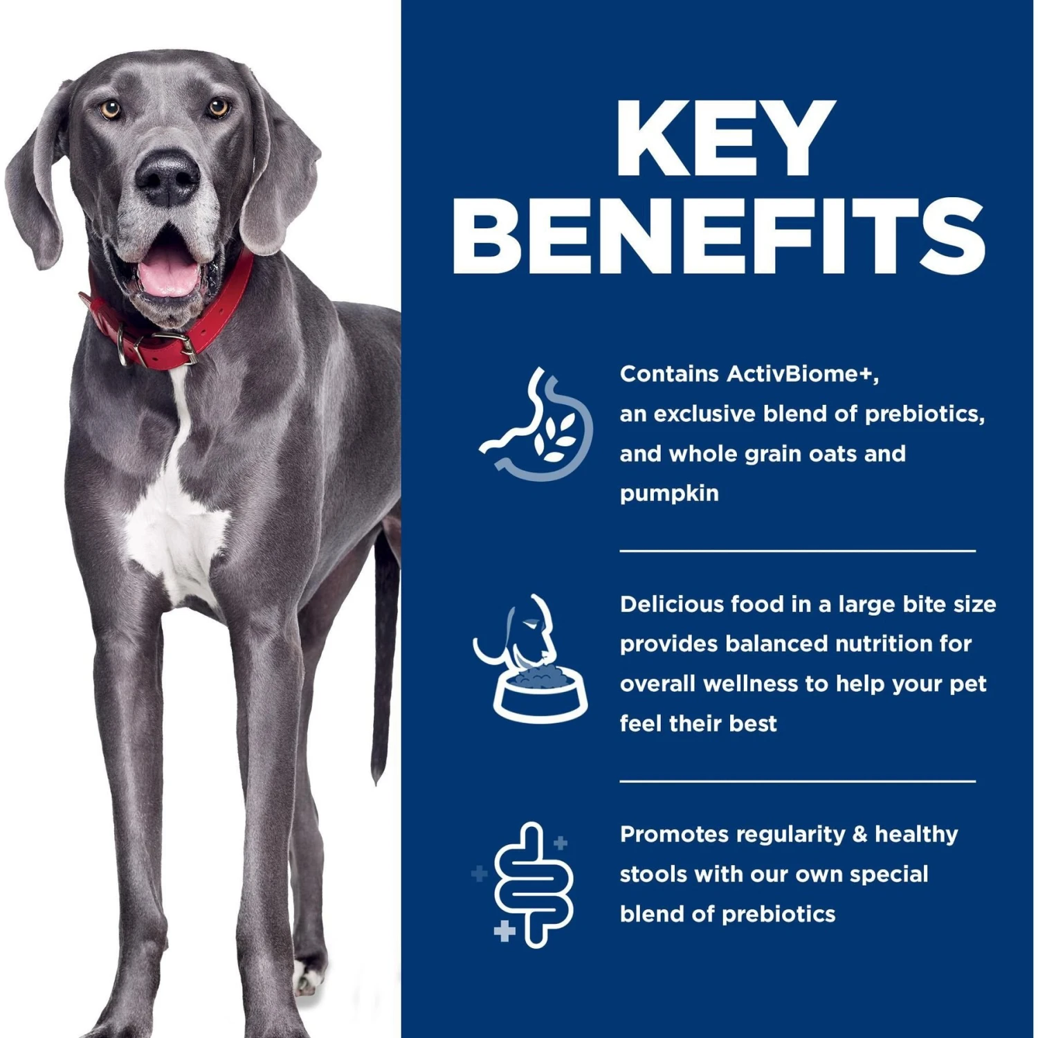 Hill's Science Diet Adult Perfect Digestion Large Breed Chicken Dry Dog Food 8 Hill's Science Diet Adult Perfect Digestion Large Breed Chicken Dry Dog Food - Image 6