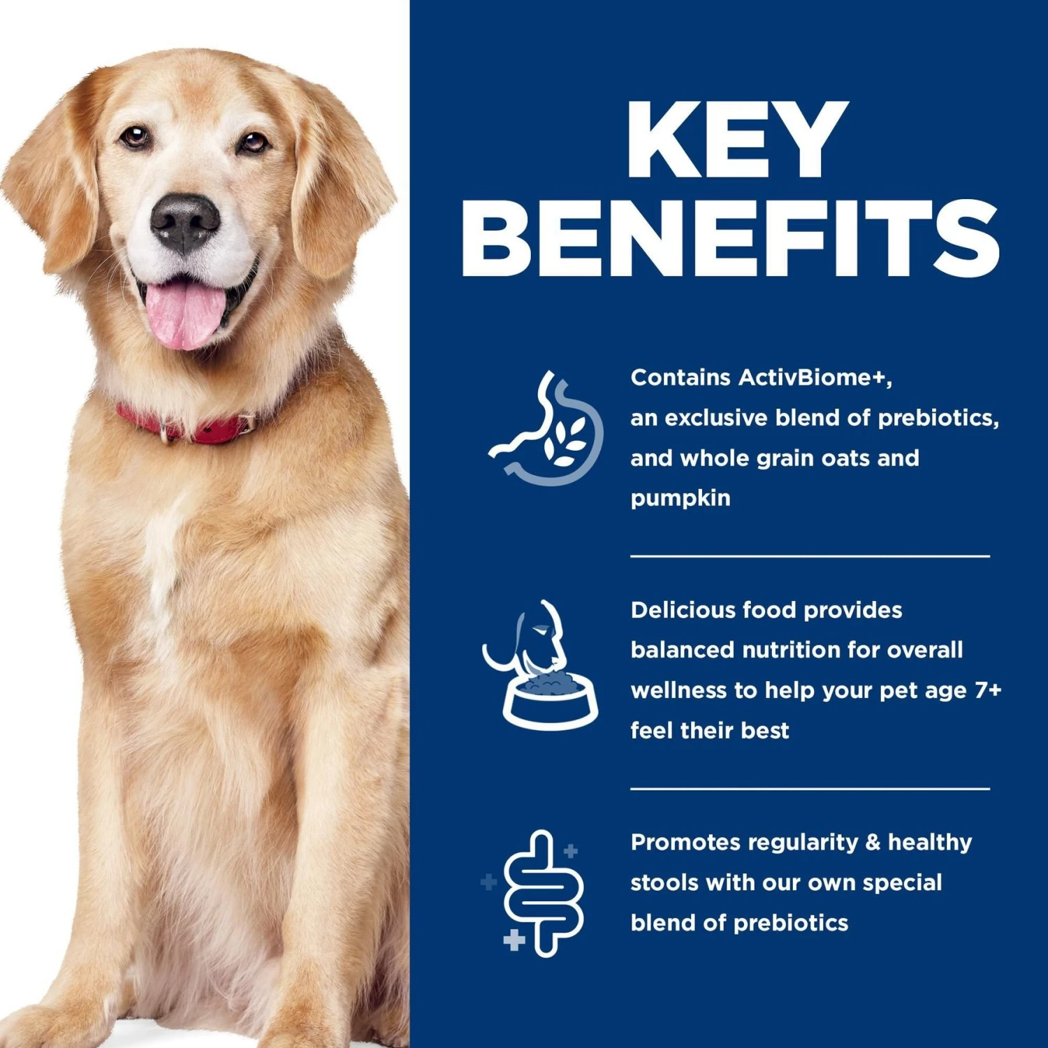 Hill's Science Diet Adult 7+ Perfect Digestion Chicken Dry Dog Food 8 Hill's Science Diet Adult 7+ Perfect Digestion Chicken Dry Dog Food - Image 6