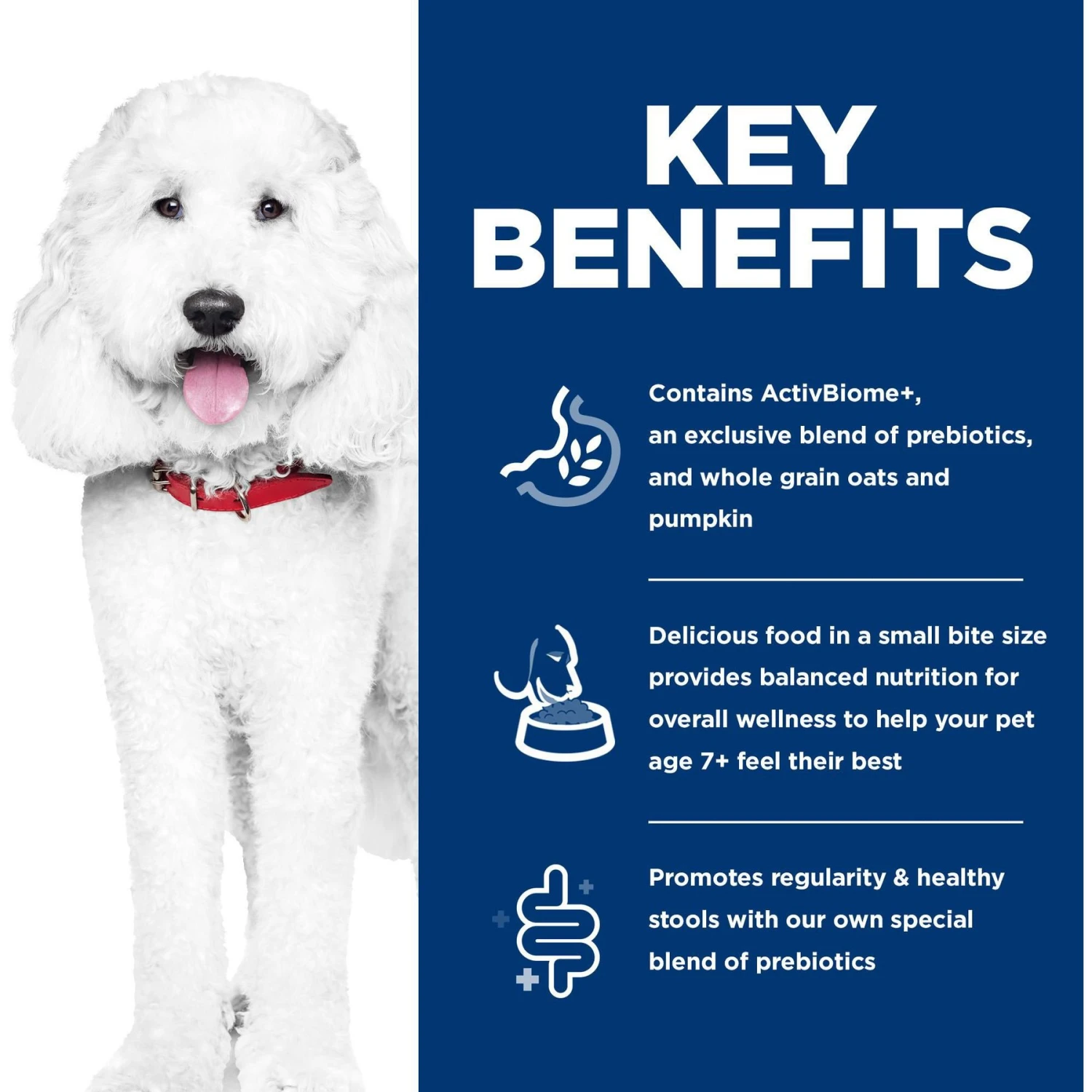 Hill's Science Diet Adult 7+ Perfect Digestion Small Bites Chicken Dry Dog Food, 12-lb Bag 8 Hill's Science Diet Adult 7+ Perfect Digestion Small Bites Chicken Dry Dog Food, 12-lb Bag - Image 6