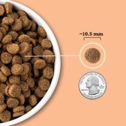 ACANA Wholesome Grains Puppy Recipe Dry Dog Food 16 ACANA Wholesome Grains Puppy Recipe Dry Dog Food -Snuggle Paws 267890 PT5. AC SS1800 V1696266695
