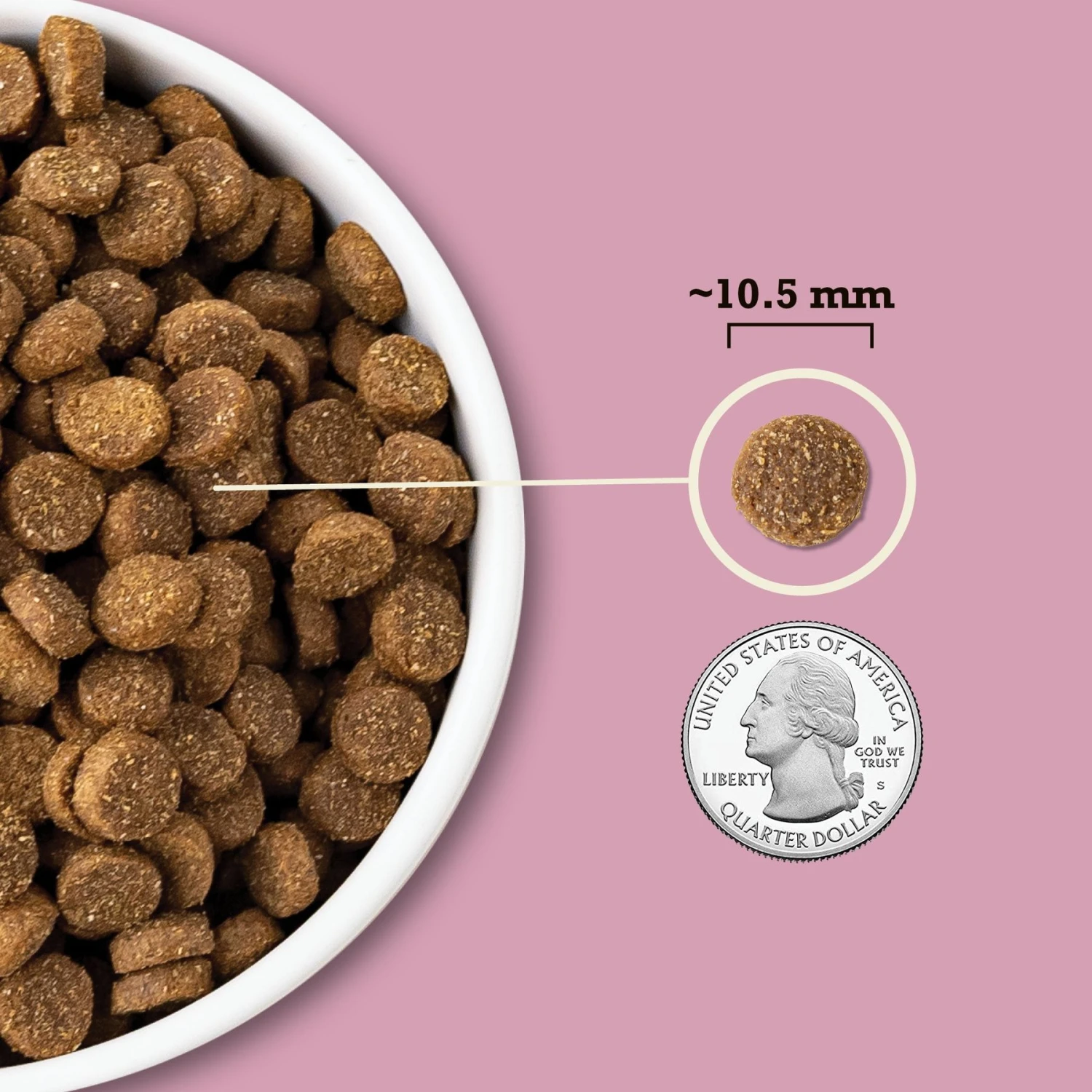 ACANA Wholesome Grains Small Breed Recipe Dry Dog Food 8 ACANA Wholesome Grains Small Breed Recipe Dry Dog Food - Image 6