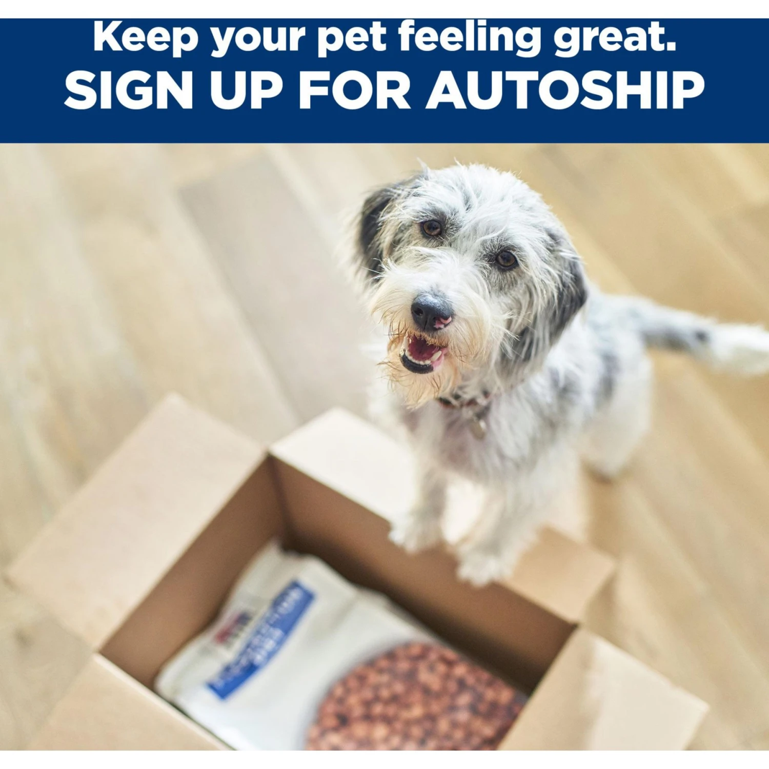 Hill's Prescription Diet Derm Complete Dry Dog Food 11 Hill's Prescription Diet Derm Complete Dry Dog Food - Image 9