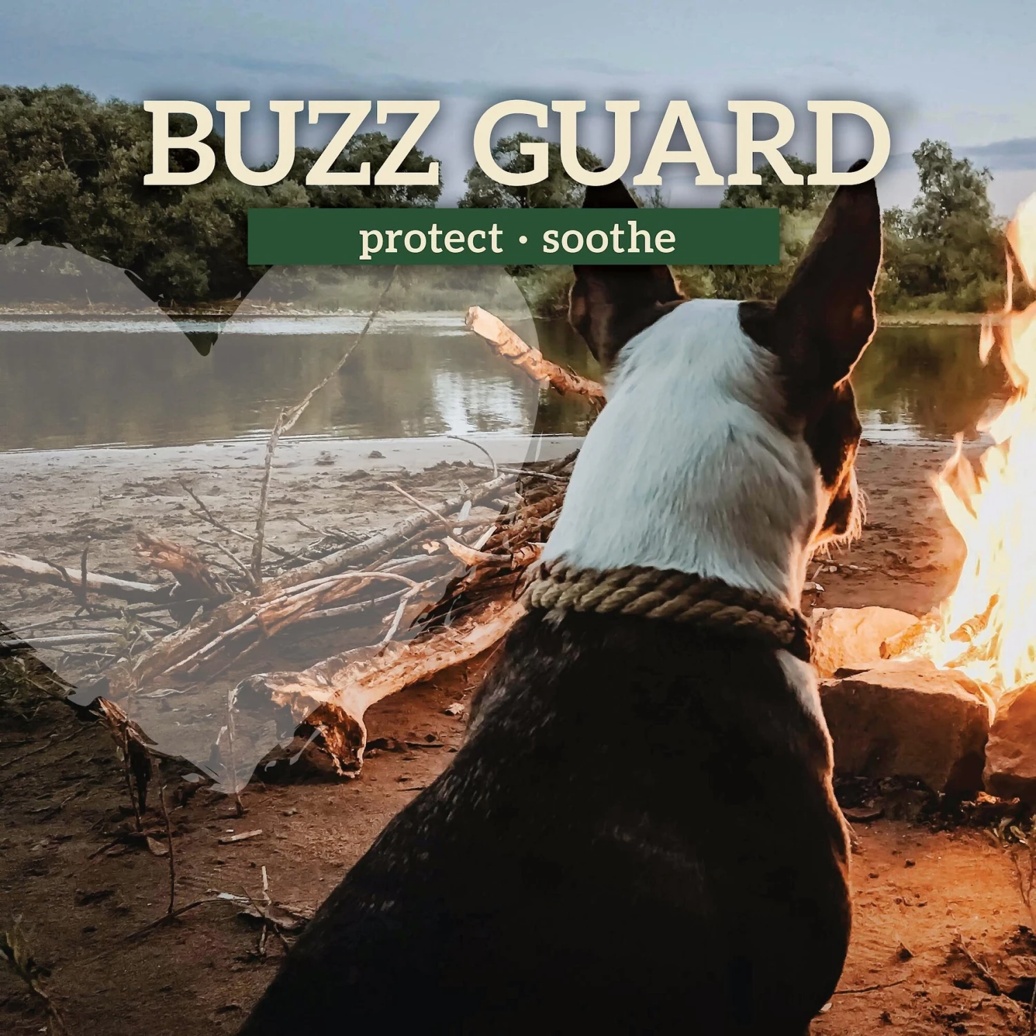 Earth Heart Buzz Guard Aromatherapy Dog Spray 6 Earth Heart Buzz Guard Aromatherapy Dog Spray - Image 4