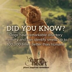 Earth Heart Buzz Guard Aromatherapy Dog Spray 15 Earth Heart Buzz Guard Aromatherapy Dog Spray -Snuggle Paws 269143 PT5. AC SS1800 V1611354121