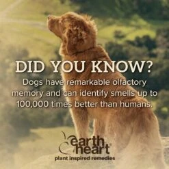 Earth Heart Buzz Guard Aromatherapy Dog Treatment -Snuggle Paws 269146 PT5. AC SS1800 V1611355877