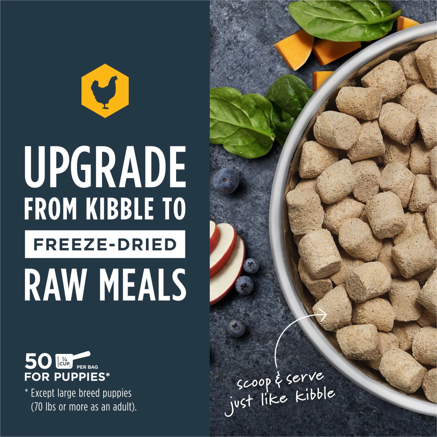 Instinct Raw Meals Cage-Free Chicken Recipe Grain-Free Freeze-Dried Puppy Food 5 Instinct Raw Meals Cage-Free Chicken Recipe Grain-Free Freeze-Dried Puppy Food - Image 3