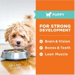 Instinct Raw Meals Cage-Free Chicken Recipe Grain-Free Freeze-Dried Puppy Food 15 Instinct Raw Meals Cage-Free Chicken Recipe Grain-Free Freeze-Dried Puppy Food -Snuggle Paws 270211 PT4. AC SS1800 V1690580622