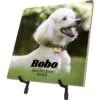 Frisco Personalized Basic Ceramic Photo Tile With Stand 1 Frisco Personalized Basic Ceramic Photo Tile With Stand -Snuggle Paws 271227 MAIN. AC SS1800 V1619197918