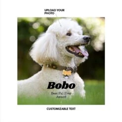 Frisco Personalized Basic Ceramic Photo Tile With Stand -Snuggle Paws 271227 PT1. AC SS1800 V1619445421