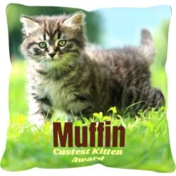 Frisco Personalized Basic Throw Pillow, 16" X 16" -Snuggle Paws 271237 PT2. AC SS1800 V1620405726