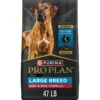 Purina Pro Plan Specialized Beef & Rice Formula High Protein Large Breed Dry Dog Food 1 Purina Pro Plan Specialized Beef & Rice Formula High Protein Large Breed Dry Dog Food -Snuggle Paws 271625 MAIN. AC SS1800 V1649107610