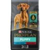 Purina Pro Plan Development Beef & Rice Formula High Protein Large Breed Dry Puppy Food -Snuggle Paws 271628 MAIN. AC SS1800 V1649120799