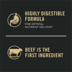 Purina Pro Plan Development Beef & Rice Formula High Protein Large Breed Dry Puppy Food -Snuggle Paws 271628 PT7. AC SS1800 V1649226992